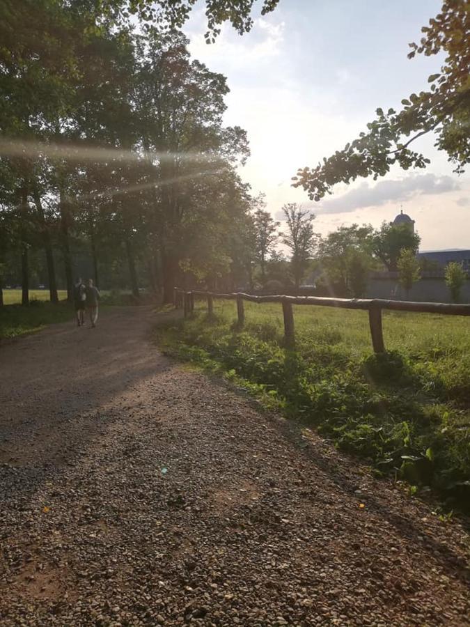 Agroturystka Na Polanie Appartement Swieta Katarzyna  Buitenkant foto