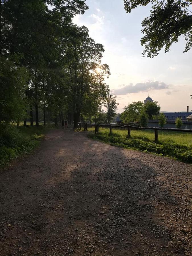 Agroturystka Na Polanie Appartement Swieta Katarzyna  Buitenkant foto